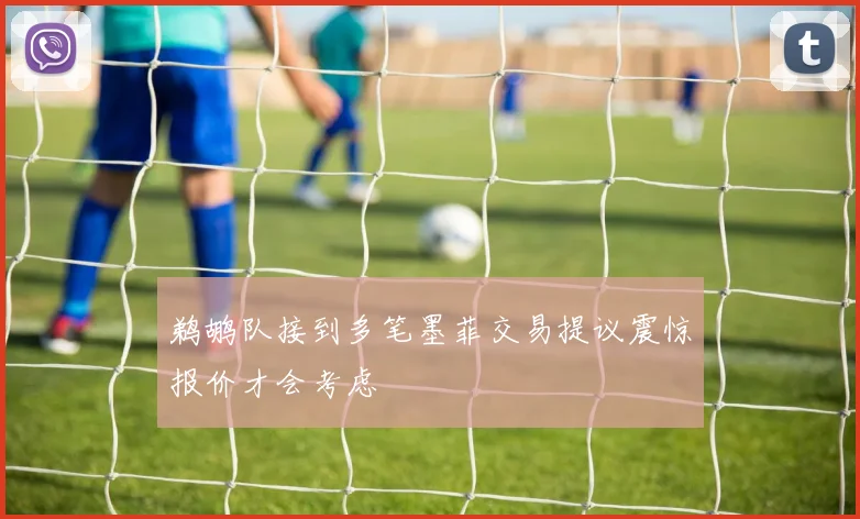 鹈鹕队接到多笔墨菲交易提议震惊报价才会考虑