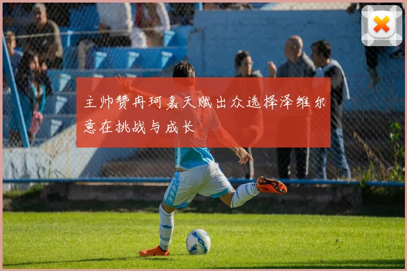 主帅赞冉珂嘉天赋出众选择泽维尔意在挑战与成长