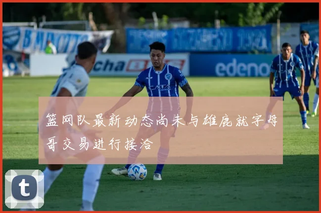 篮网队最新动态尚未与雄鹿就字母哥交易进行接洽