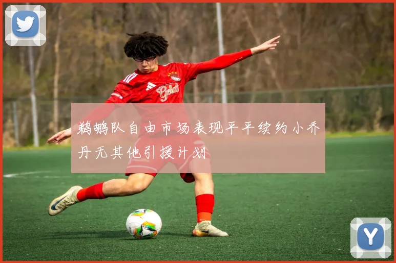 鹈鹕队自由市场表现平平续约小乔丹无其他引援计划