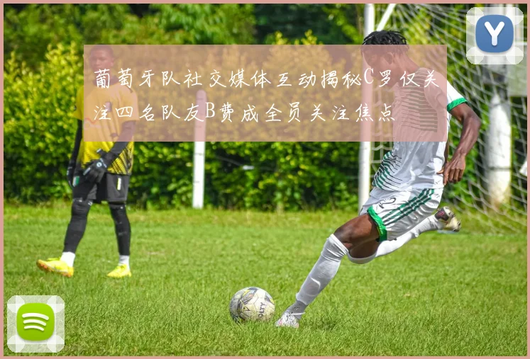 葡萄牙队社交媒体互动揭秘C罗仅关注四名队友B费成全员关注焦点
